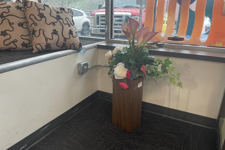 Plant and display stand 