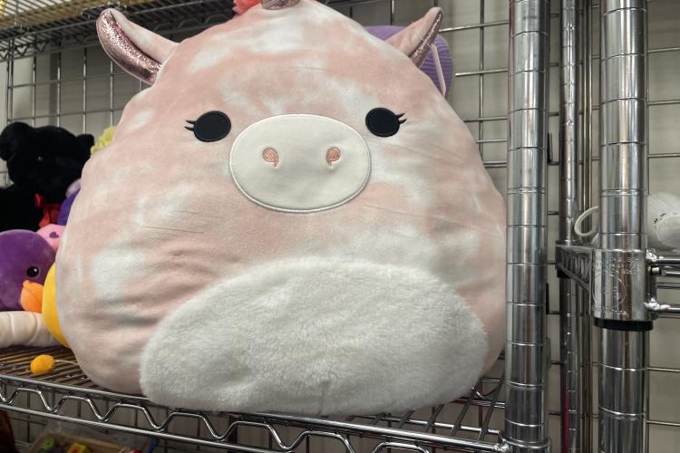 Stuffed pillow