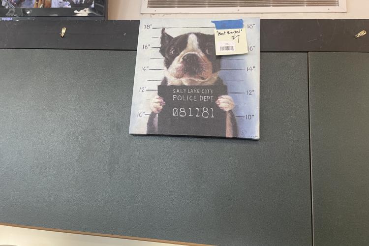 Criminal 