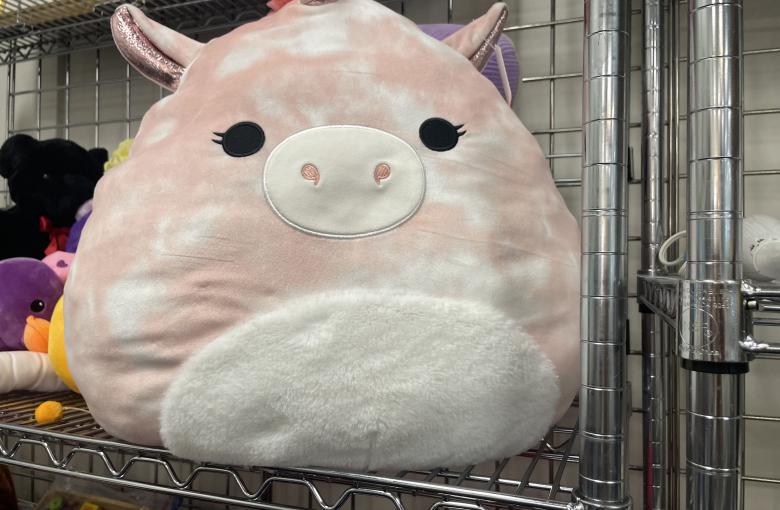 Stuffed pillow